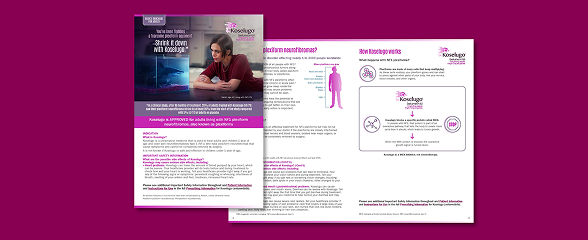 Adult Basics Brochure screenshot.