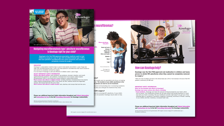 Caregivers Basics Brochure screenshot.