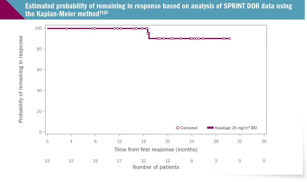 Estimated Probability of Remaining in Response Based on Analysis of SPRINT DOR Data using Kaplan-Meier Method
